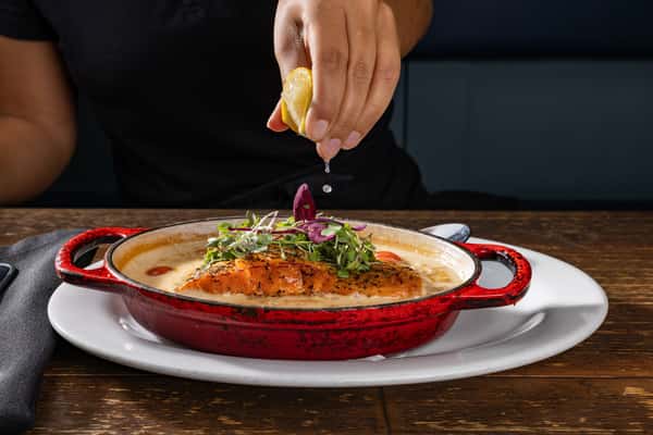 Salmon