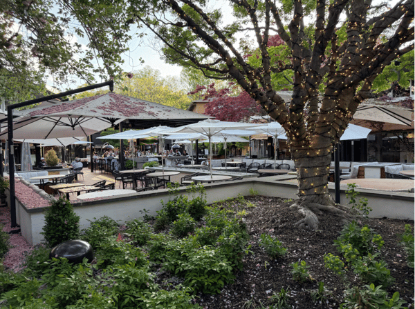 Ceces Roland Park Courtyard - by Chris Franzoni