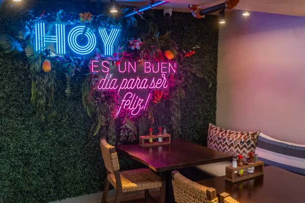 Neon sign reading 'Hoy es un buen día para ser feliz' on a lush green plant wall, with rattan seating and moody purple ambient lighting