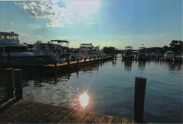 boats tied to dock