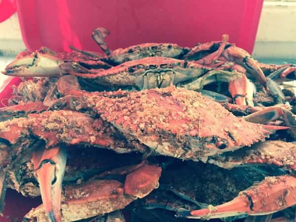 crabs
