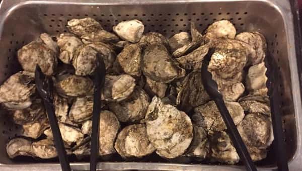 oysters in kitchen basket