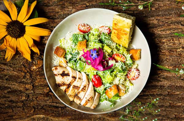 Chicken Caesar Salad Lunch Menu Bistro 76 & Costa Davis Catering