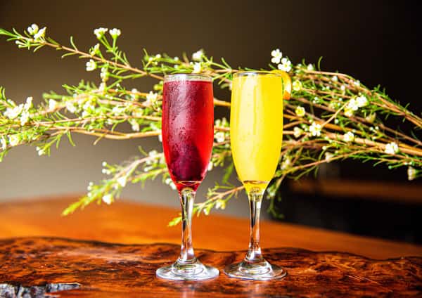 mimosasa