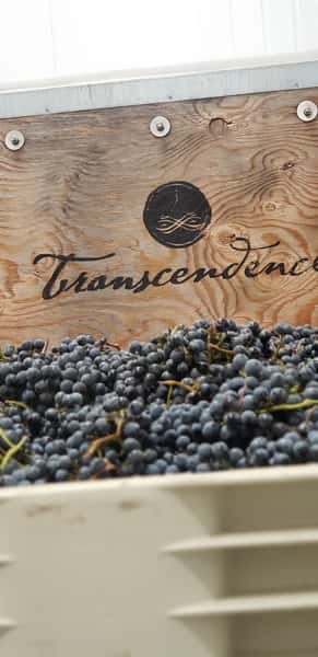 Feb. 19 - Transcendence Winemaker Dinner