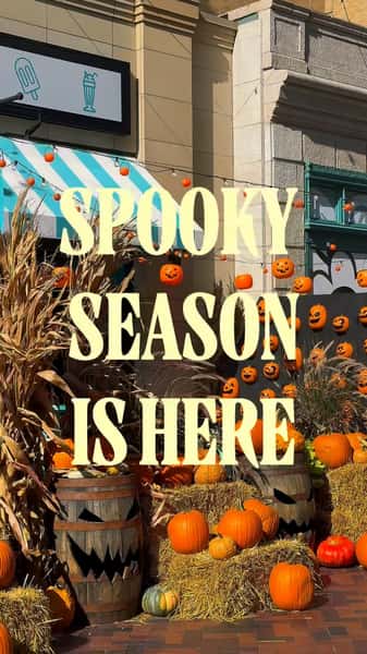 Spooky SZN Has officially taken over @districtdetroit 🕸️
Pumpkin painting, fall favorites, over the top shakes & cocktails - all the reasons to make a trip to JoJo’s.
📍JoJo’s ShakeBAR Detroit | Now - November 1st
#detroit #pumpkin #detroitevents #thingstodo