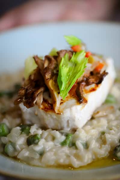 GRILLED SWORDFISH