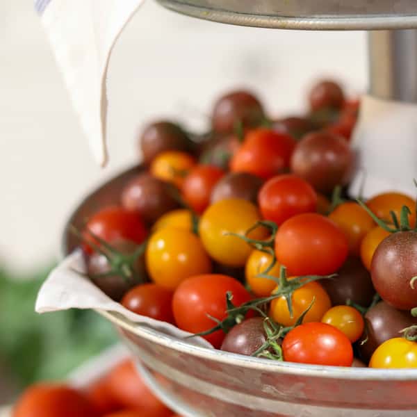 tomatoes