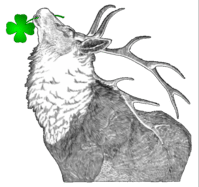 deer