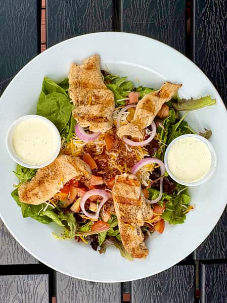 Grilled Chicken Salad