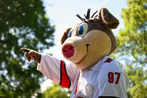 Stormy Carolina Hurricanes Mascot