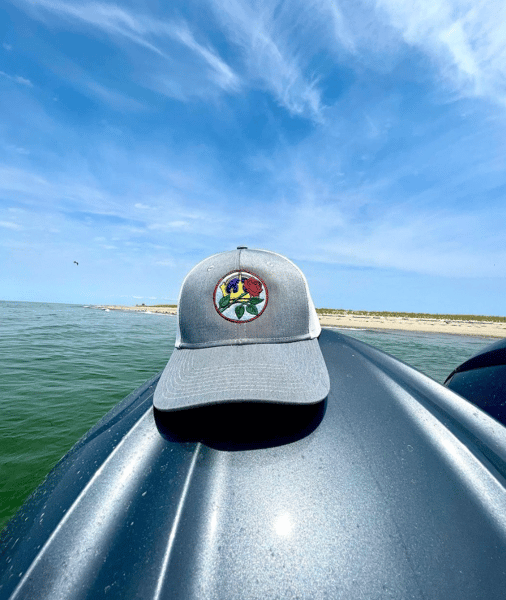 hat