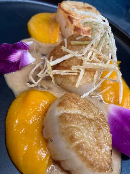 Seared scallops plated with a rich butternut squash purée, creamy sauce, crispy julienned fried potatoes, and edible flower petals for garnish.