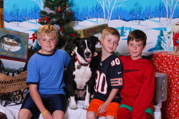 Pet Portraits & Kids
