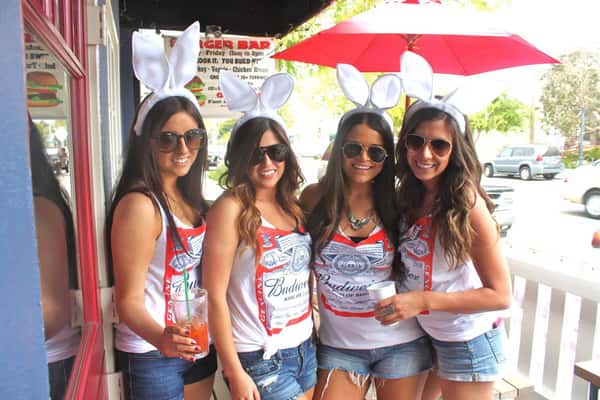 budweiser team