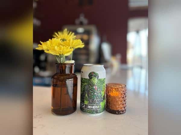Revolution Anti Hero IPA
