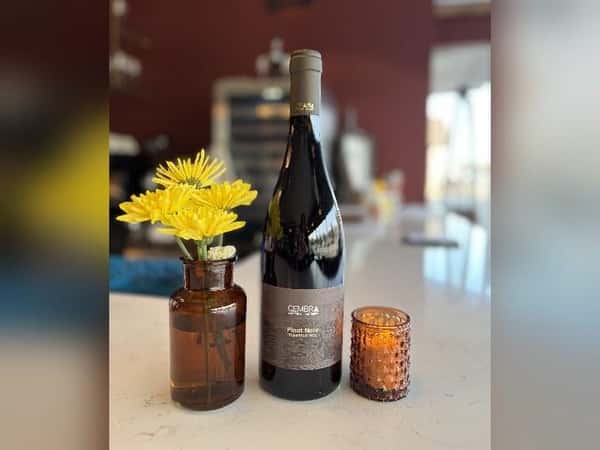 Cembra 2020 Pinot Nero