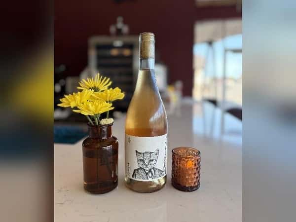 Castel Pujol Folklore Orange