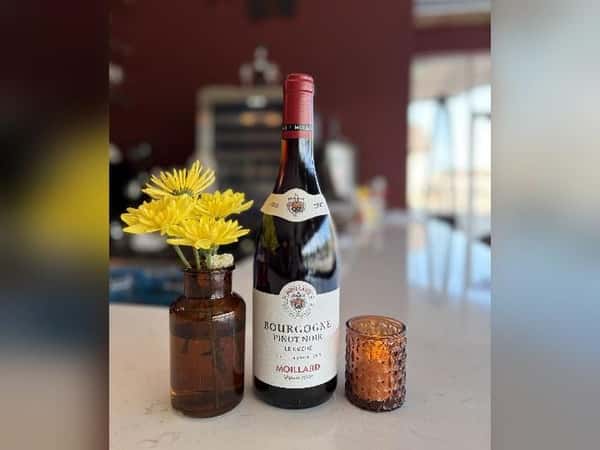 Moillard Bourgogne Pinot Noir