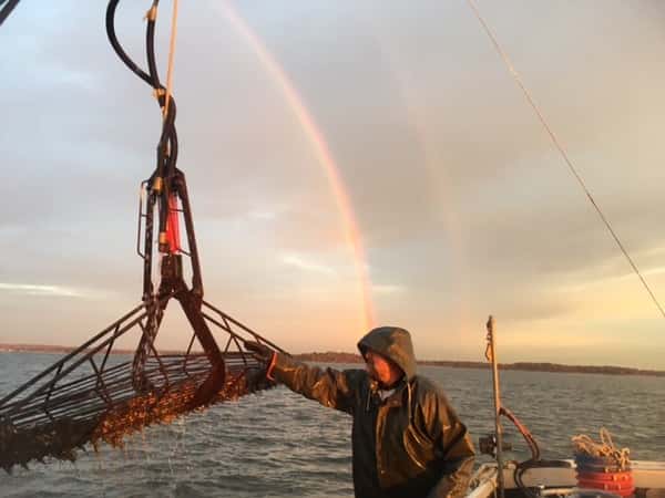 Rob Witt Oystering