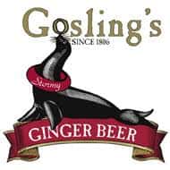 Ginger Beer