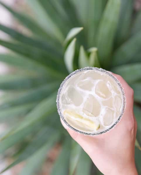 Pure's House Margarita