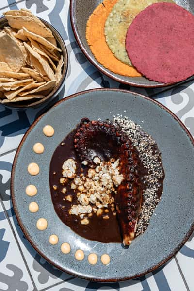 OCTOPUS & CAULIFLOWER MOLE