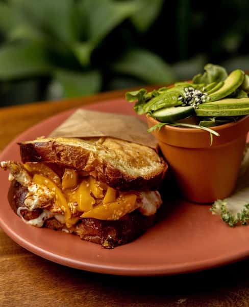 Grilled chicken sandwich with melted cheddar cheese on toasted sourdough, served with a fresh green salad topped with avocado slices and sesame seeds.