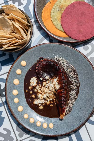 OCTOPUS & CAULIFLOWER MOLE