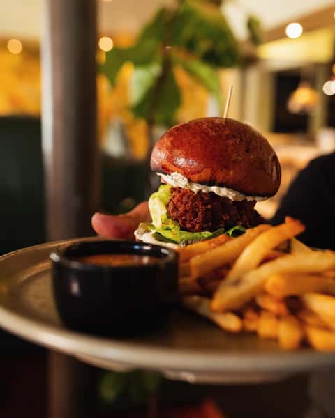 chicken sandwich & fries