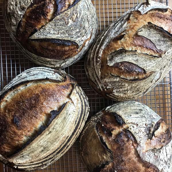 sourdough bread