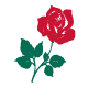rose icon