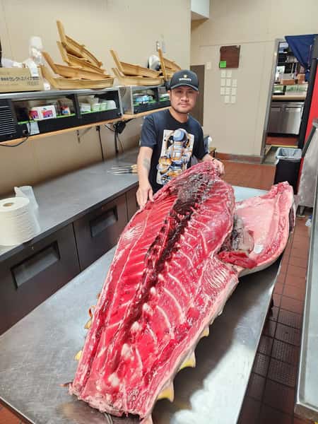 Bluefin Tuna