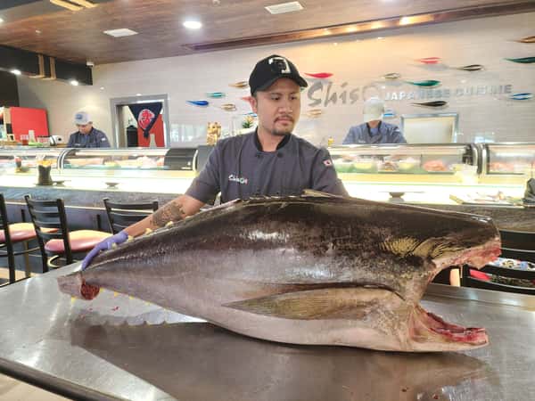 Bluefin Tuna