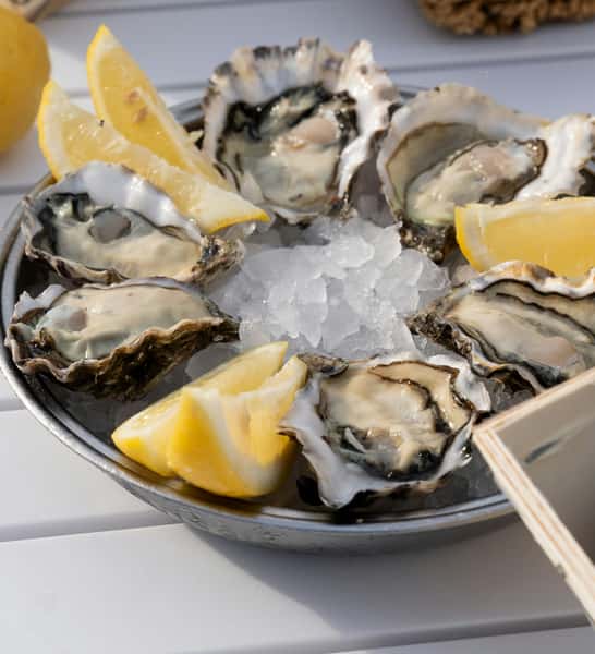 1/2 Dozen Oysters
