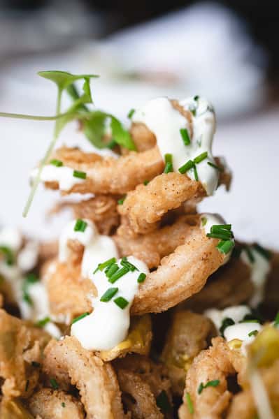Calamari