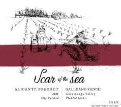 Alicante Bouschet, Scar of the Seas, 2022, Cucamonga Valley, CC