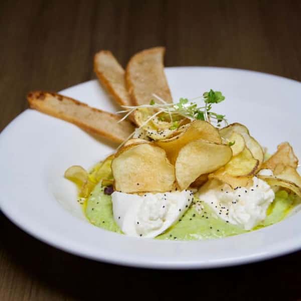 Hummus + Burrata