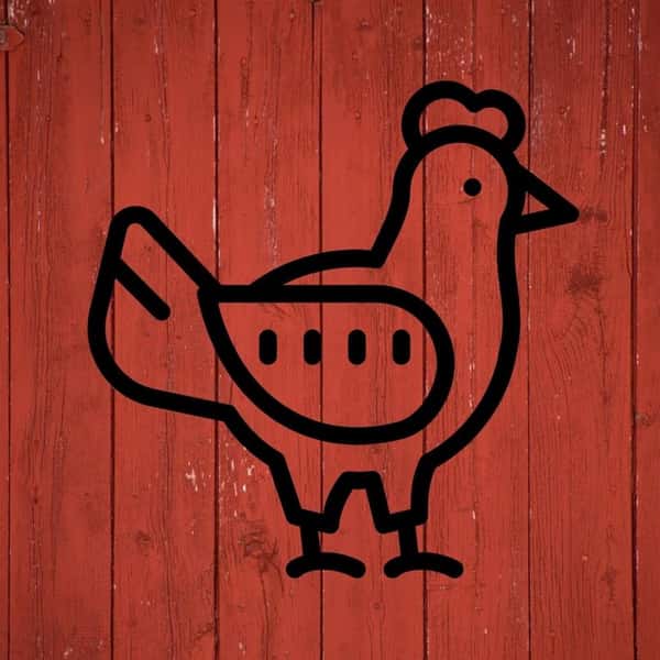 Plain Old Grilled Chicken