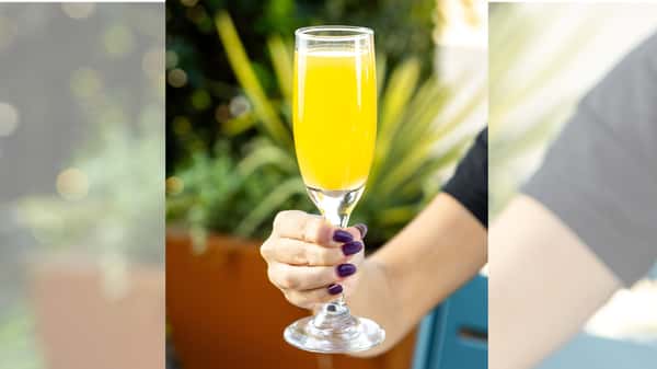 Mimosa