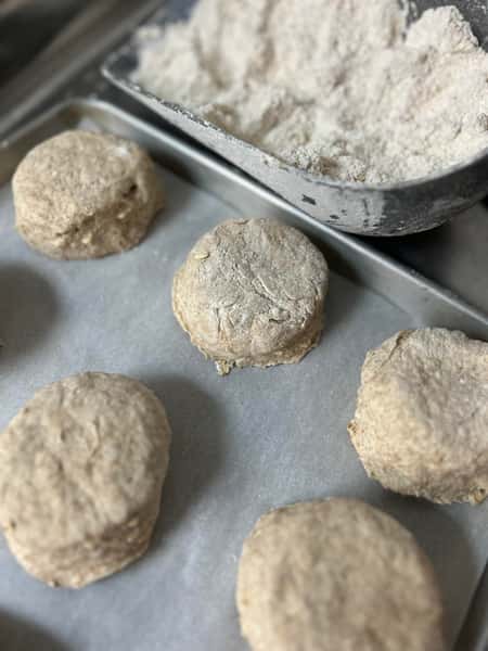 Biscuit