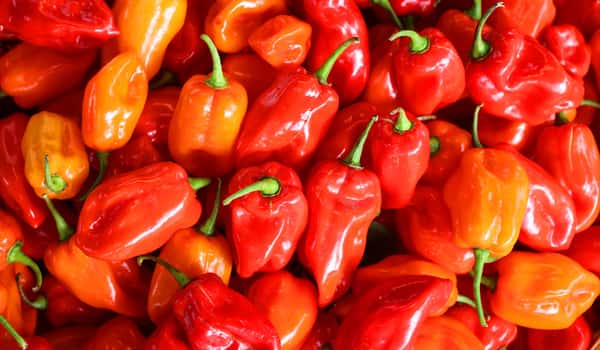 pepper