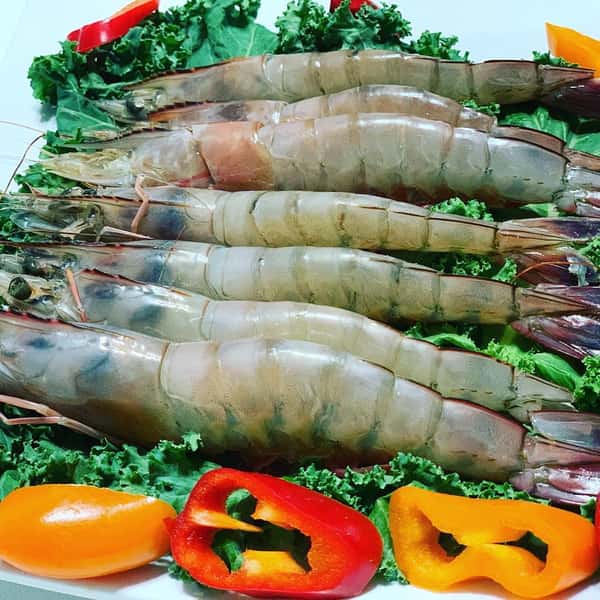 fresh shrimp arrangement