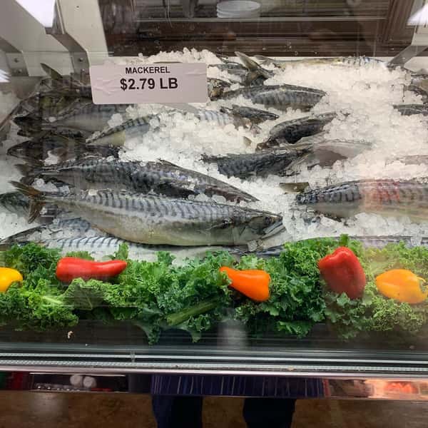 fesh mackerell in display case