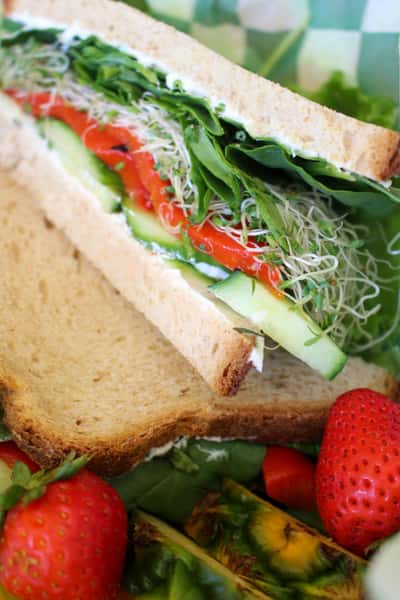 sprout sandwich