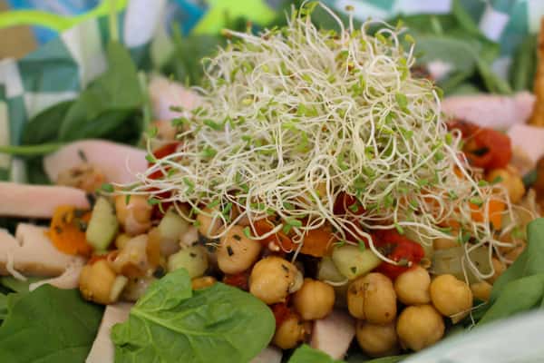 sprout salad