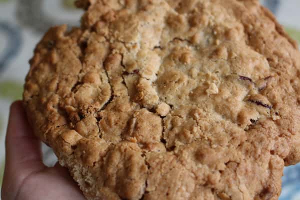 Oatmeal Cranberry Cookie