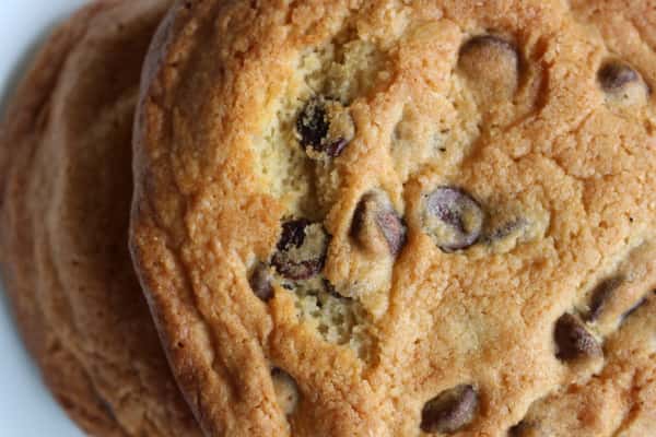 Chocolate Chip Cookie