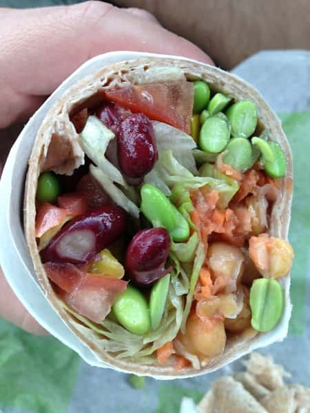 Vegetarian Wrap