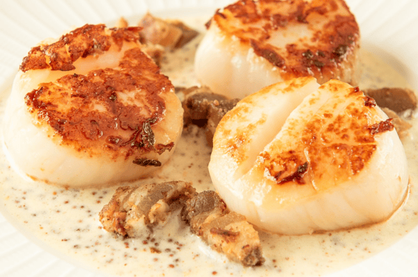 Scallops